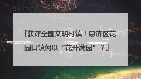 获评全国文明村镇！惠济区花园口镇何以“花开满园”？