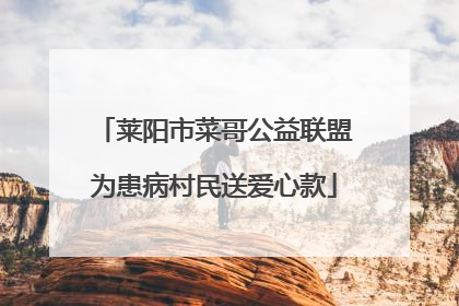 莱阳市菜哥公益联盟为患病村民送爱心款