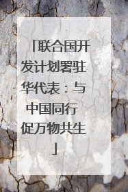 联合国开发计划署驻华代表：与中国同行 促万物共生