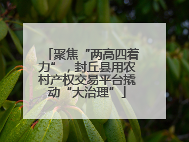 聚焦“两高四着力”，封丘县用农村产权交易平台撬动“大治理”