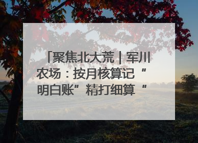 聚焦北大荒｜军川农场：按月核算记“明白账”精打细算“过紧日子”