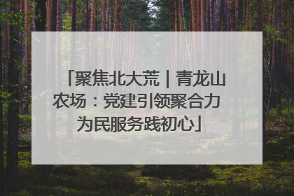 聚焦北大荒｜青龙山农场：党建引领聚合力 为民服务践初心