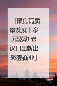 聚焦高质量发展丨多元驱动 老汉口出新出彩强商业