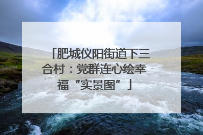 肥城仪阳街道下三合村：党群连心绘幸福“实景图”