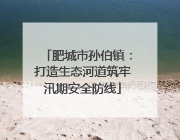 肥城市孙伯镇：打造生态河道筑牢汛期安全防线