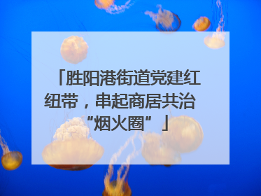 胜阳港街道党建红纽带，串起商居共治 “烟火圈”