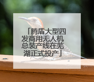 腾盾大型四发商用无人机总装产线在芜湖正式投产