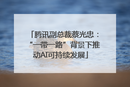 腾讯副总裁蔡光忠：“一带一路”背景下推动AI可持续发展