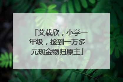 艾载欣，小学一年级，捡到一万多元现金物归原主