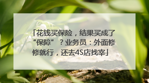 花钱买保险，结果买成了“保障”？业务员：外面修修就行，还去4S店找宰