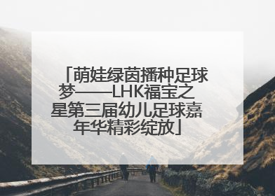 萌娃绿茵播种足球梦——LHK福宝之星第三届幼儿足球嘉年华精彩绽放
