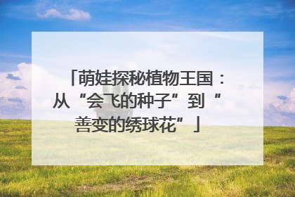 萌娃探秘植物王国：从“会飞的种子”到“善变的绣球花”