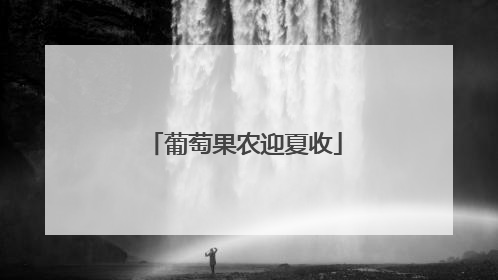 葡萄果农迎夏收