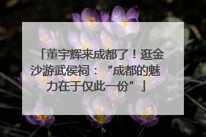 董宇辉来成都了！逛金沙游武侯祠：“成都的魅力在于仅此一份”