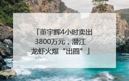董宇辉4小时卖出3800万元，潜江龙虾火爆“出圈”