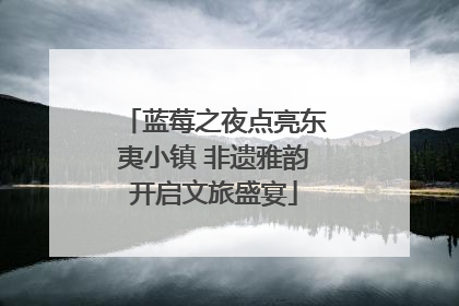 蓝莓之夜点亮东夷小镇 非遗雅韵开启文旅盛宴
