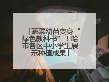 蔬菜幼苗变身“绿色教科书”！哈市各区中小学生展示种植成果