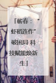 蕲春：“虾稻连作”破困局 科技赋能焕新生