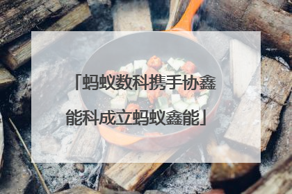 蚂蚁数科携手协鑫能科成立蚂蚁鑫能