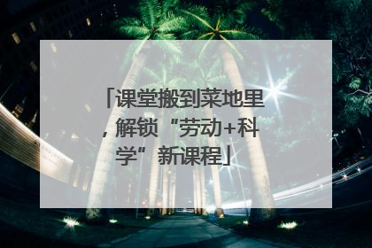 课堂搬到菜地里，解锁“劳动+科学”新课程