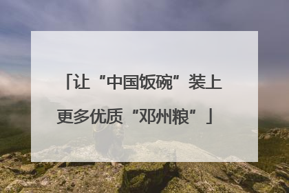 让“中国饭碗”装上更多优质“邓州粮”