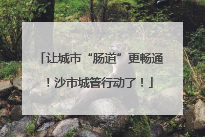 让城市“肠道”更畅通！沙市城管行动了！