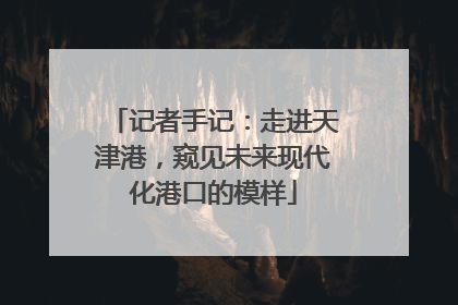 记者手记：走进天津港，窥见未来现代化港口的模样