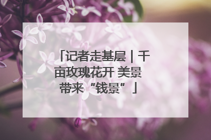 记者走基层｜千亩玫瑰花开 美景带来“钱景”