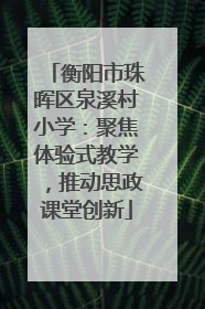 衡阳市珠晖区泉溪村小学：聚焦体验式教学，推动思政课堂创新