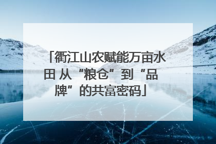 衢江山农赋能万亩水田 从“粮仓”到“品牌”的共富密码