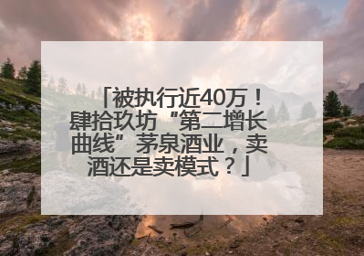 被执行近40万！肆拾玖坊“第二增长曲线”茅泉酒业，卖酒还是卖模式？