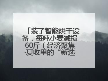 装了智能烘干设备，每吨小麦减损60斤（经济聚焦·夏收里的“新选手”）