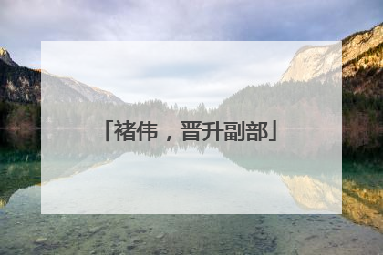 褚伟，晋升副部