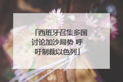 西班牙召集多国讨论加沙局势 呼吁制裁以色列