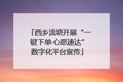西乡流塘开展“一键下单·心愿速达”数字化平台宣传