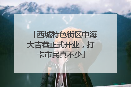 西城特色街区中海大吉巷正式开业，打卡市民真不少