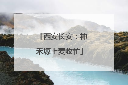 西安长安：神禾塬上麦收忙