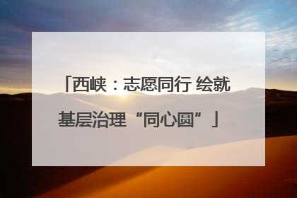 西峡：志愿同行 绘就基层治理“同心圆”
