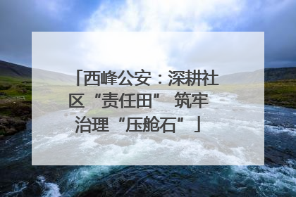 西峰公安：深耕社区“责任田” 筑牢治理“压舱石”