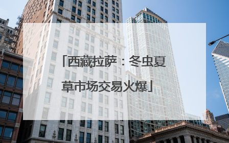 西藏拉萨：冬虫夏草市场交易火爆