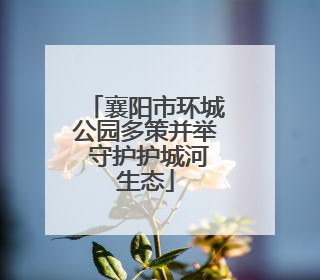 襄阳市环城公园多策并举 守护护城河生态
