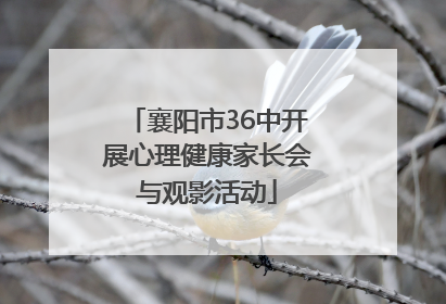 襄阳市36中开展心理健康家长会与观影活动