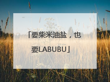 要柴米油盐，也要LABUBU