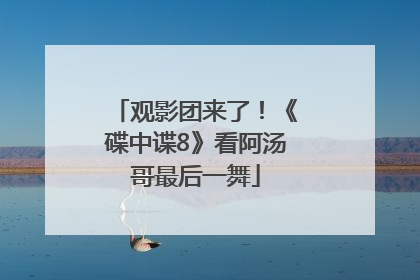 观影团来了！《碟中谍8》看阿汤哥最后一舞