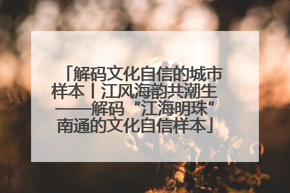 解码文化自信的城市样本丨江风海韵共潮生——解码“江海明珠”南通的文化自信样本