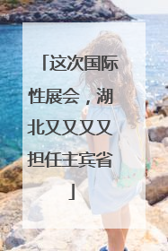 这次国际性展会，湖北又又又又担任主宾省