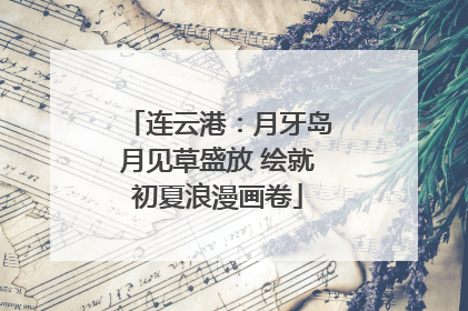 连云港：月牙岛月见草盛放 绘就初夏浪漫画卷