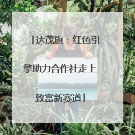 达茂旗：红色引擎助力合作社走上致富新赛道