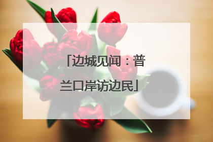 边城见闻：普兰口岸访边民