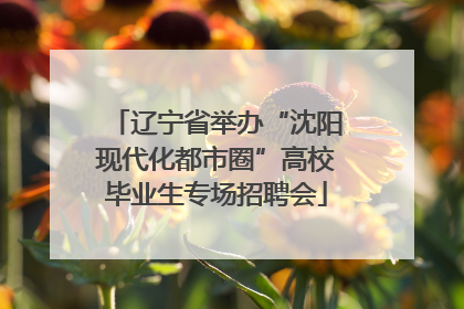 辽宁省举办“沈阳现代化都市圈”高校毕业生专场招聘会